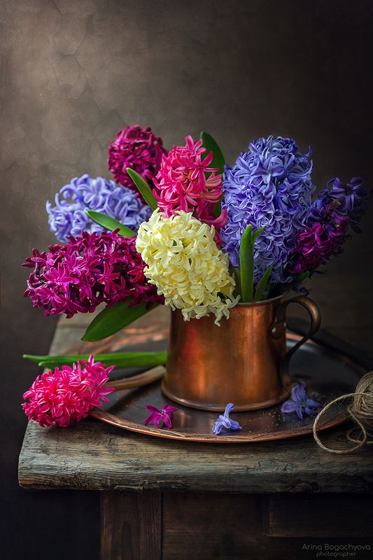 *** фото превью