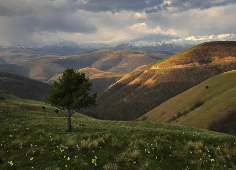 Кавказ, Кабардино-Балкария, Приэльбрусье Приэльбрусьеphoto preview