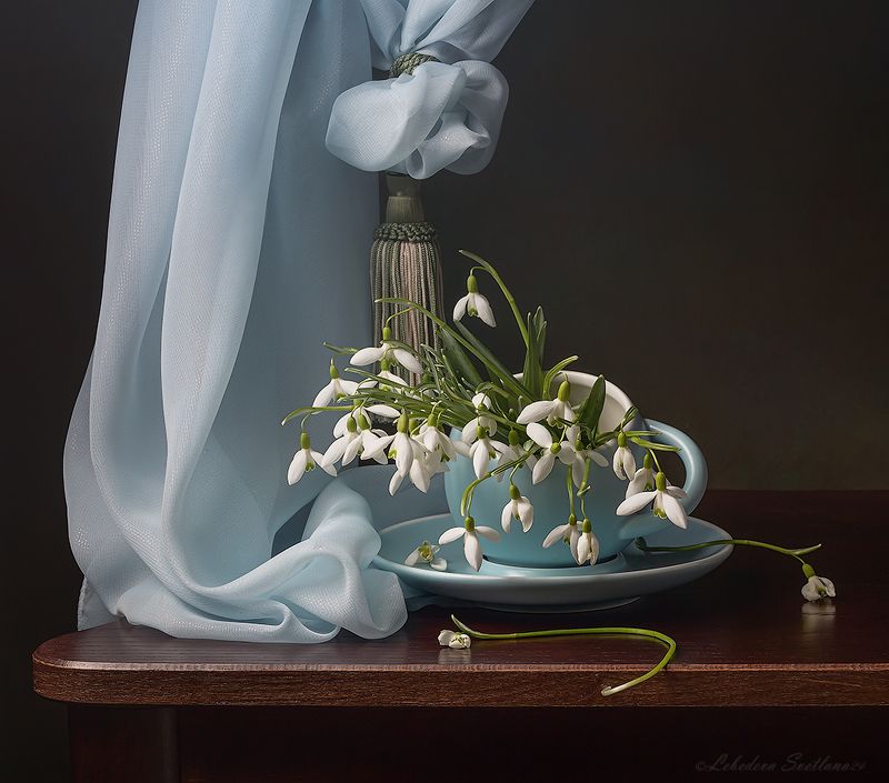 подснежники,натюрморт,весна Первые вестники весныphoto preview