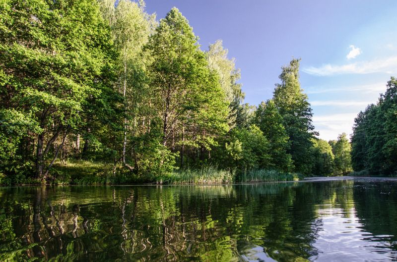 вечер озеро Вечер на озере в лесуphoto preview