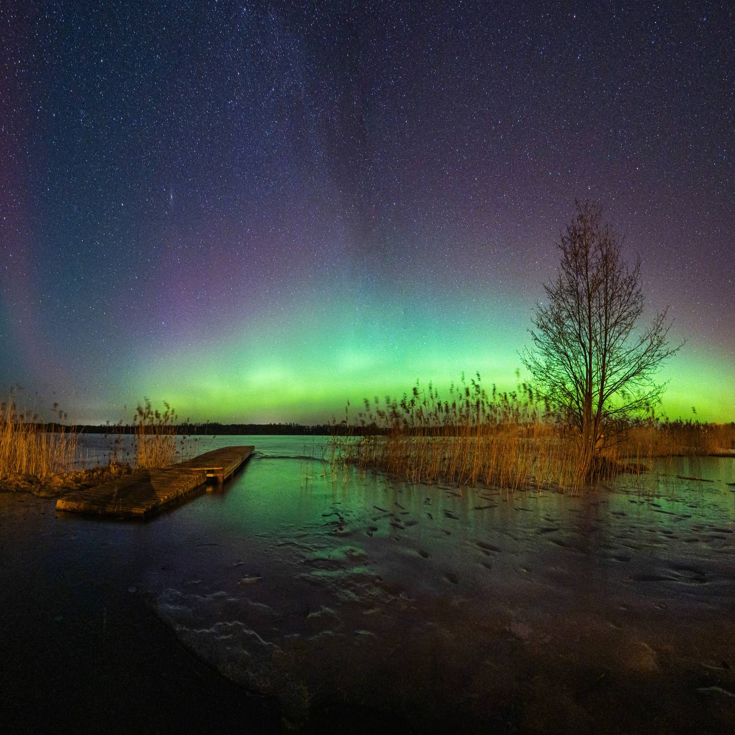 Nirzas lake . Автор: Olegs Bucis , Olegs Bucis