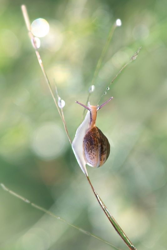 Этот трудный путь наверх…photo preview