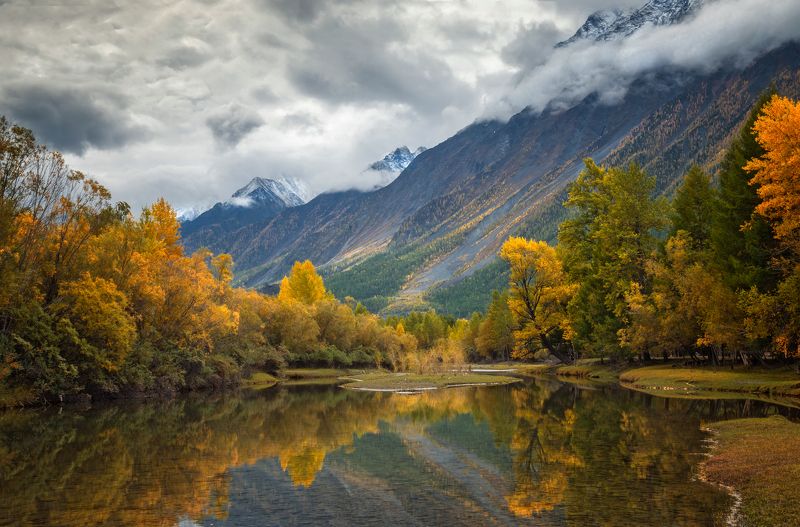 горный алтай,сентябрь2023,утро,заводь в долине аргута,отражения Осенние грёзы...photo preview