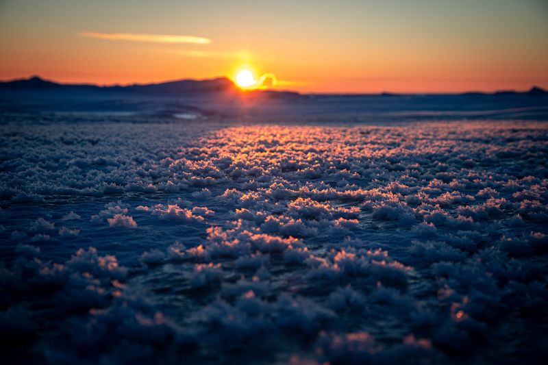 зима Ледяные цветы фото превью