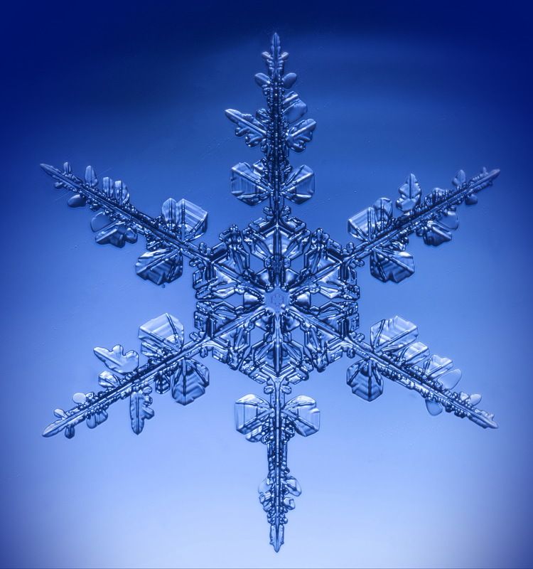 Зимняя драгоценностьphoto preview