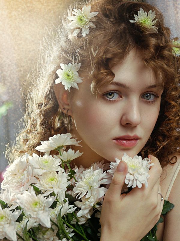 Chrysanthemumphoto preview