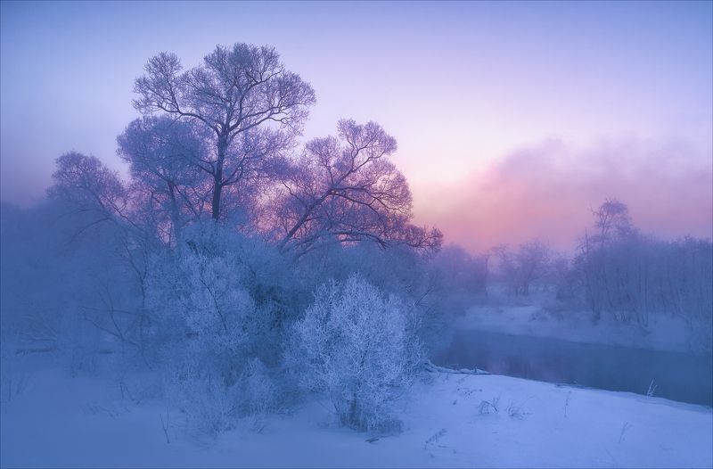 В ожидании света.photo preview