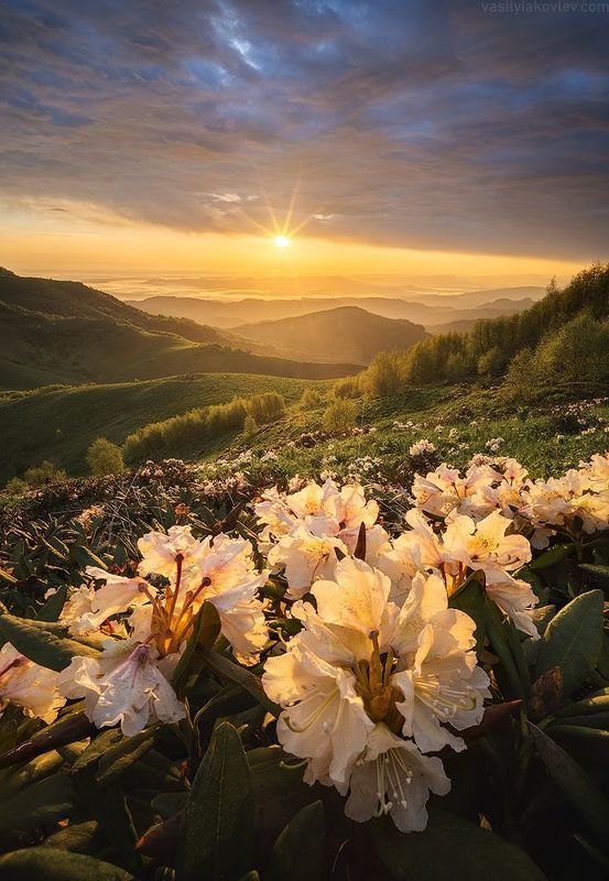 тхач, большой тхач, фототур, яковлевфототур, кавказ, адыгея Большой Тхачphoto preview