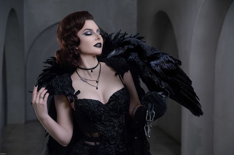 ворон, портрет Dark Snowwhitephoto preview
