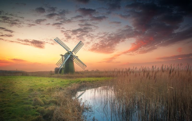 Old Mill фото превью