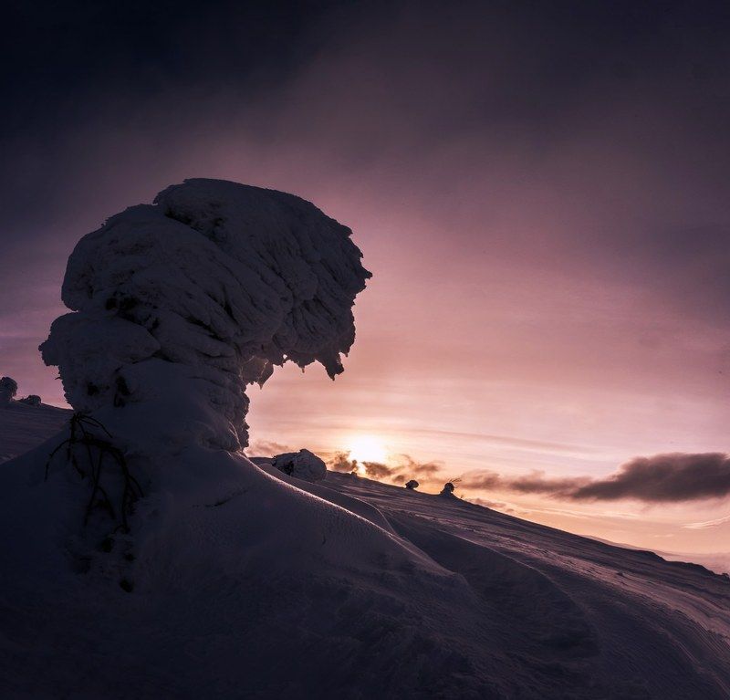 волосяная, кольский, пейзаж, зима, закат Грифоны Волосяной горыphoto preview