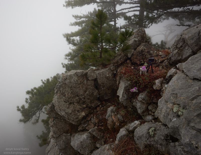 Первый контакт ... фото превью