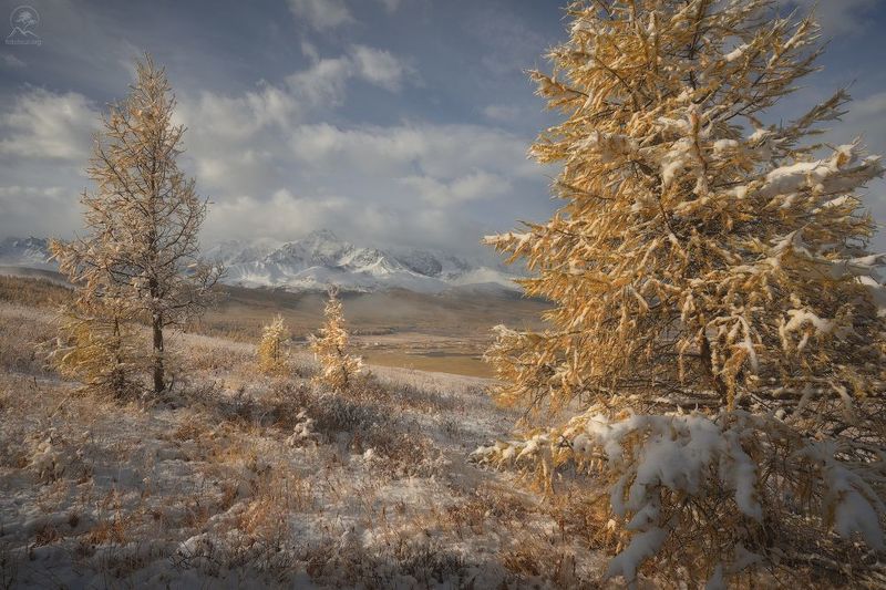 алтай, фототур по алтаю, осень, горы, горный алтай, республика алтай, джангысколь, ештыкель ПУШИСТОЕ УТРОphoto preview