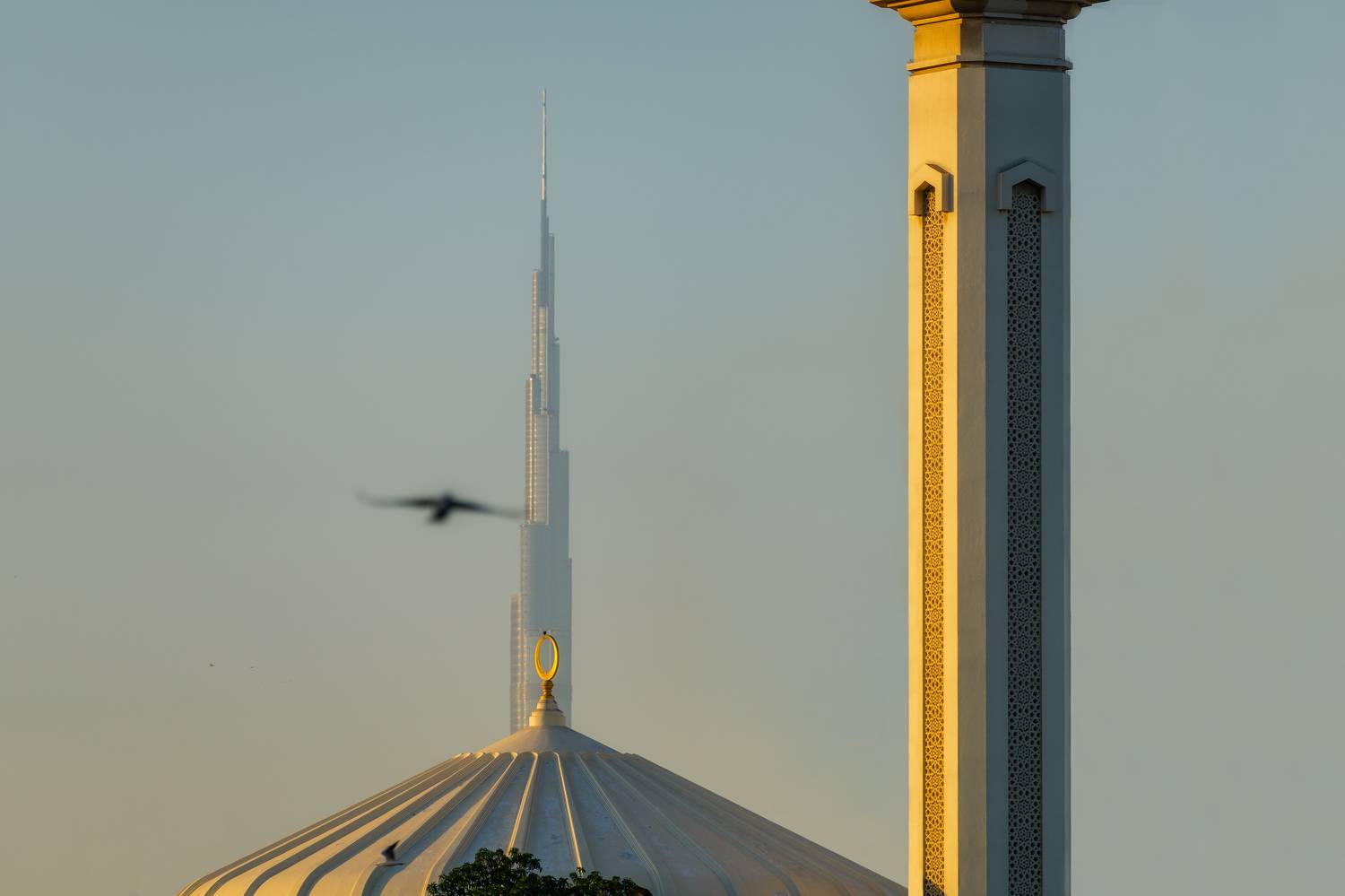 дубай, Tsybenko Kirill