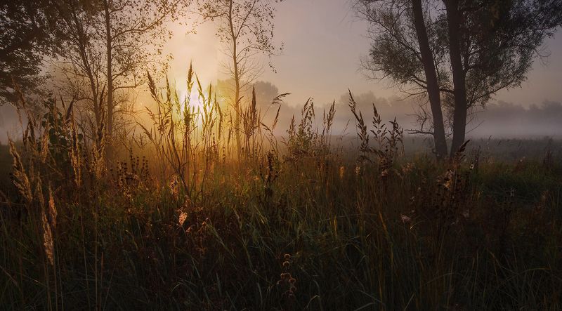 сибирь, лето, утро, рассвет, туман, свет Утро с туманомphoto preview