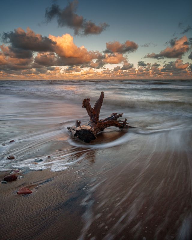 Morning freshphoto preview