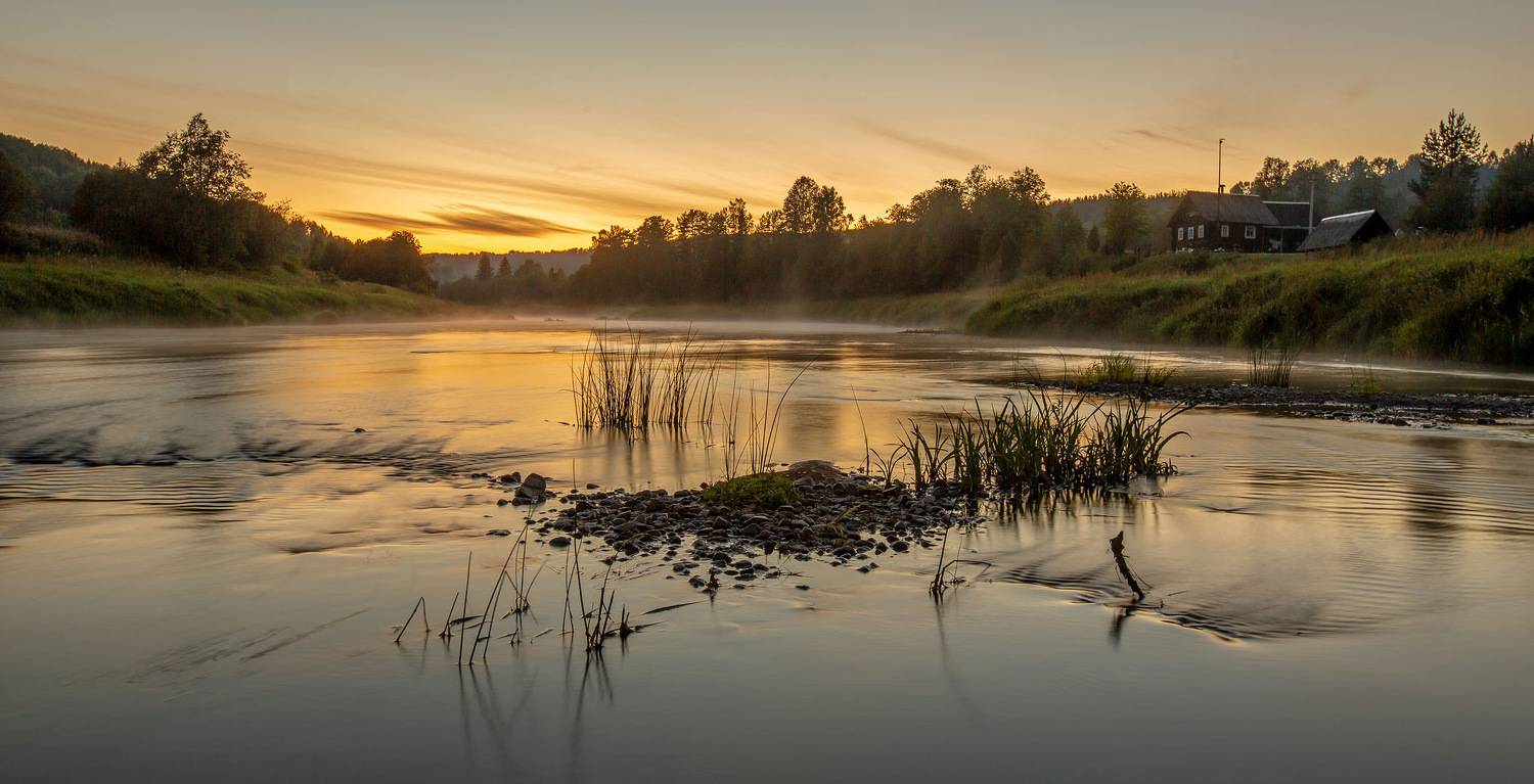 Худосочный камыш. Автор: Yuri Ovchinnikov , Yuri Ovchinnikov