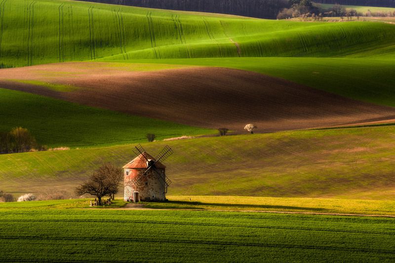 spring, moravia, kunkovice, sony a7iv, windmill, moravia tuscany Spring in Moraviaphoto preview