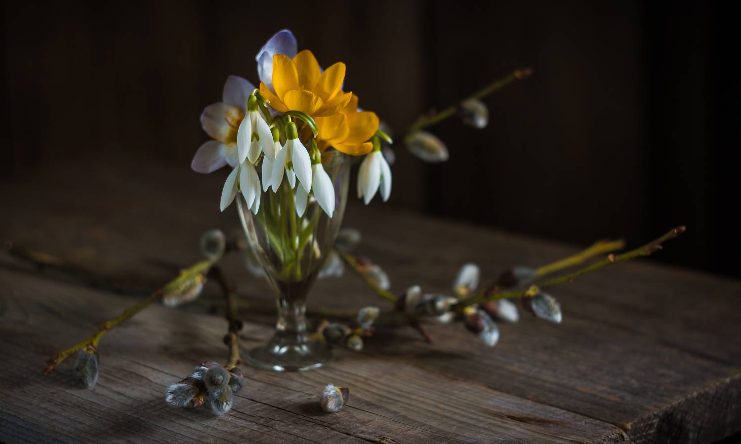 Автор: Хвойнова Елена , Хвойнова Елена