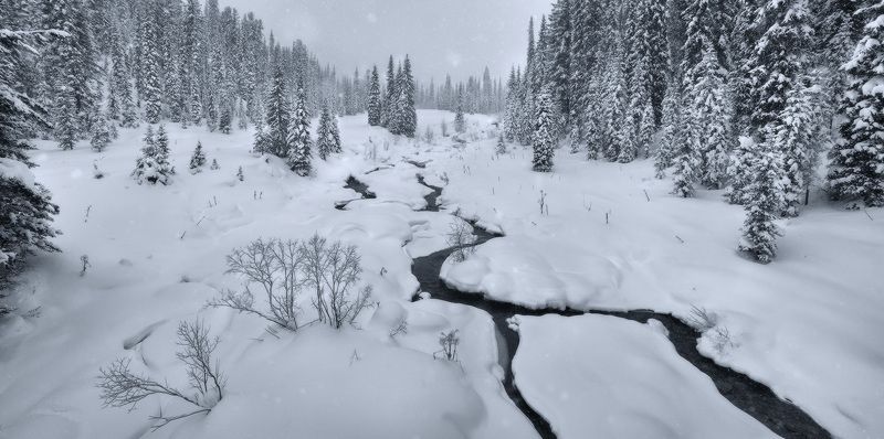 ергаки, саяны, сибирь, красноярский край, снег, елки, панорамы Панорамы Ергакphoto preview