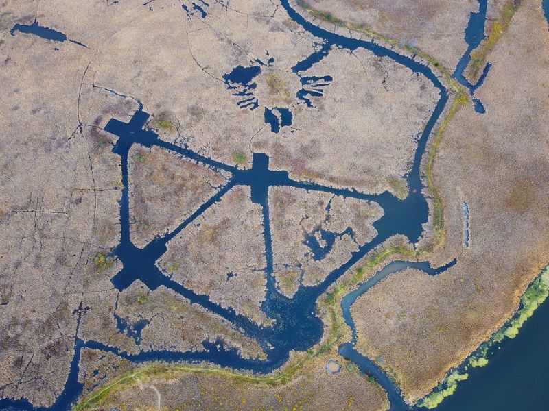 Автопортретphoto preview