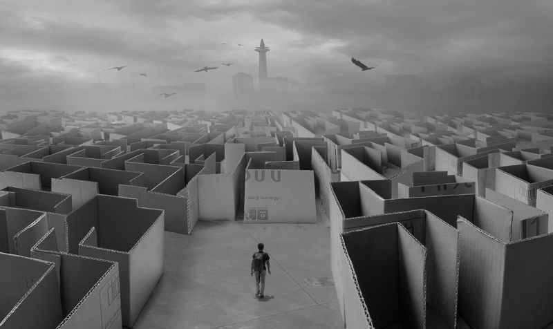 Invisible Worldphoto preview