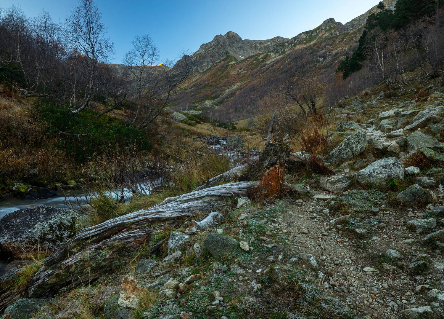 архыз, Плеханов Александр