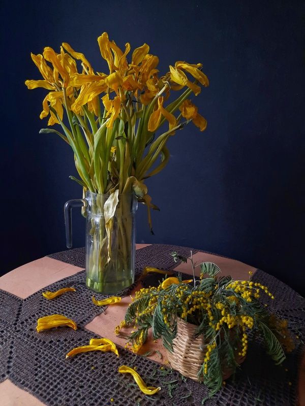 Цветы как люди...photo preview