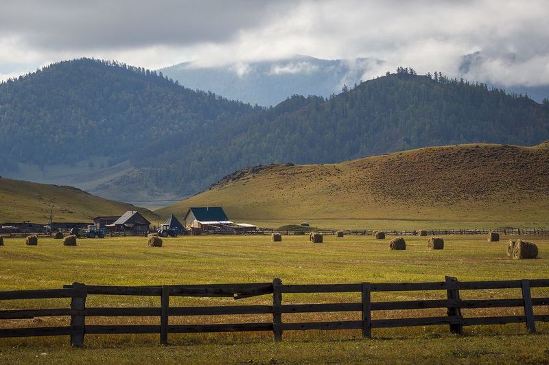 алтай, осень, усть-кан, пейзаж, Алтай.photo preview