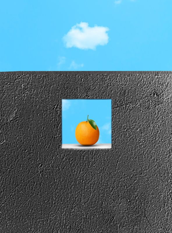 Symbiosis in Harmonyphoto preview