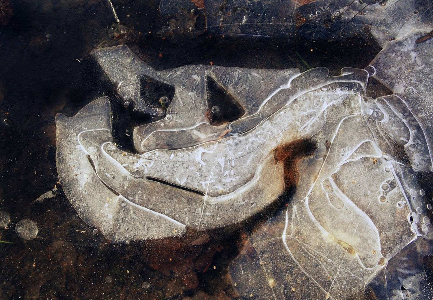 pareidolia, Илья Веулоп