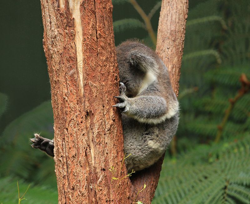 Как хочу-так и сплю)photo preview