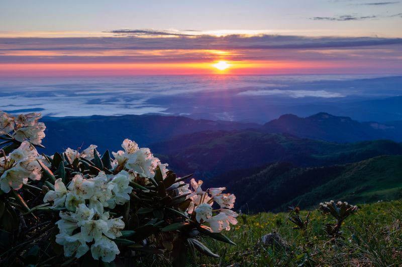 большой тхач, адыгея, кавказ, рододендроны, асбестная, утро, рассвет, горы Рассветphoto preview