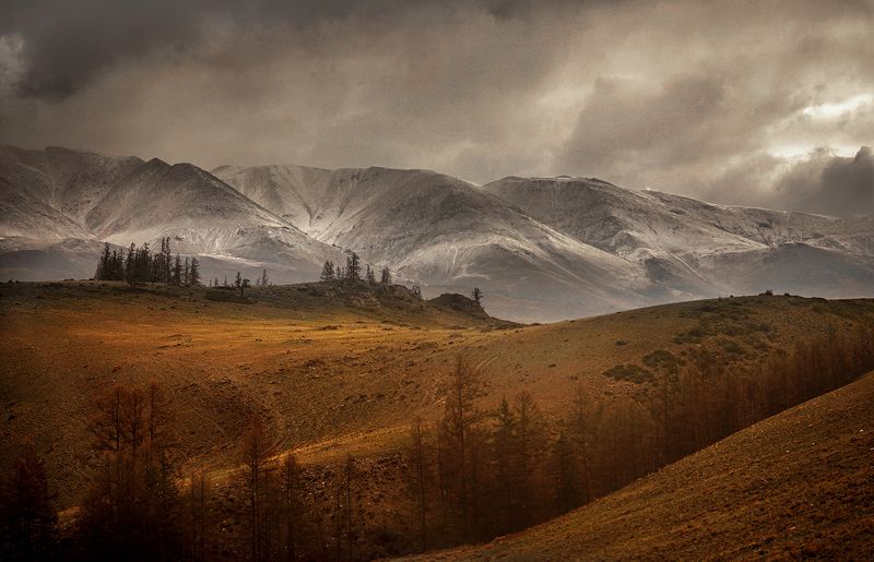 Пасмурный день в Курайской степиphoto preview