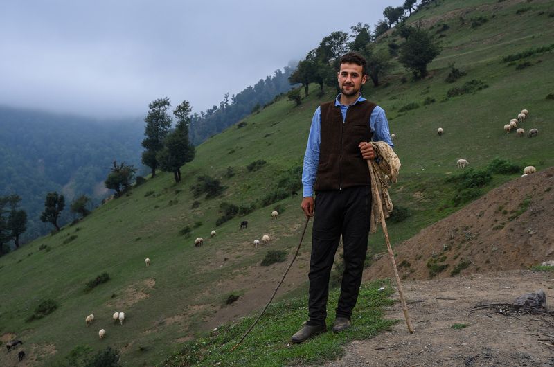 Pastor sheepphoto preview