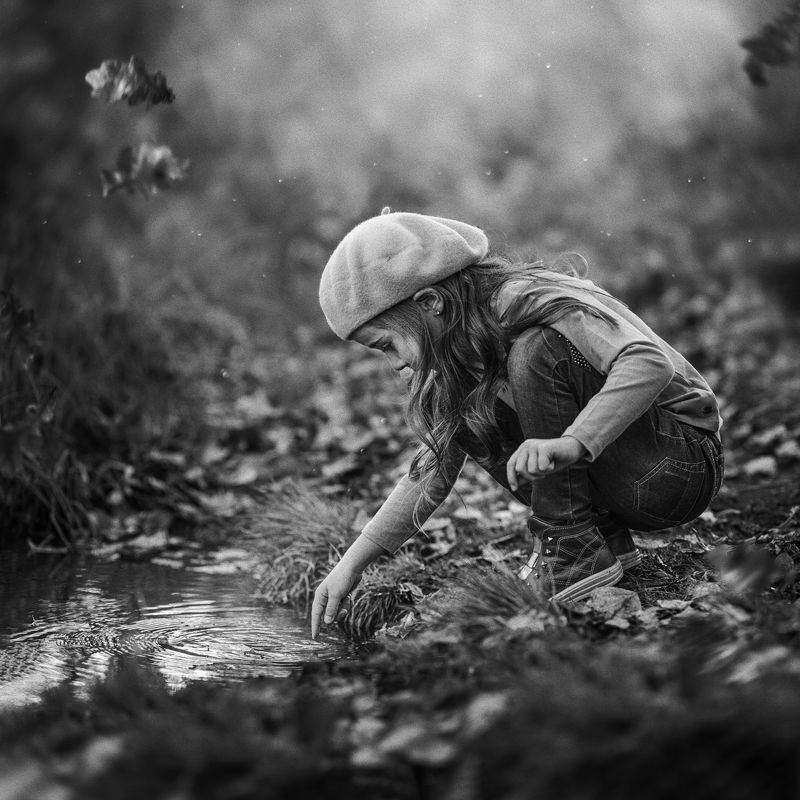 чб осеньphoto preview