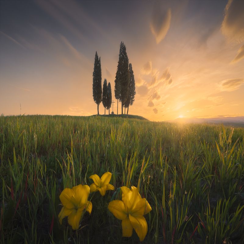 #tuscany #surise #nature #landscapes #travel Tuscanyphoto preview