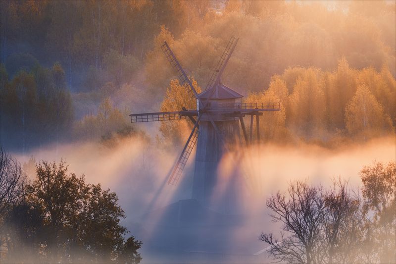 Рассвета золотые струныphoto preview