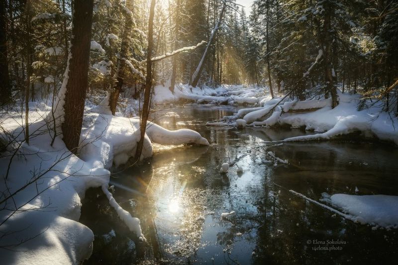 река, талица, вода, зима, весна, снег, лес, тайга, пермский край, жуланово Весеннее половодьеphoto preview