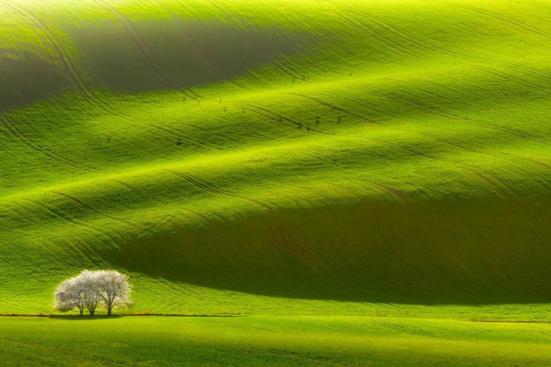 moravia, spring, tuscony, toscana, czech, landscape In the wavesphoto preview