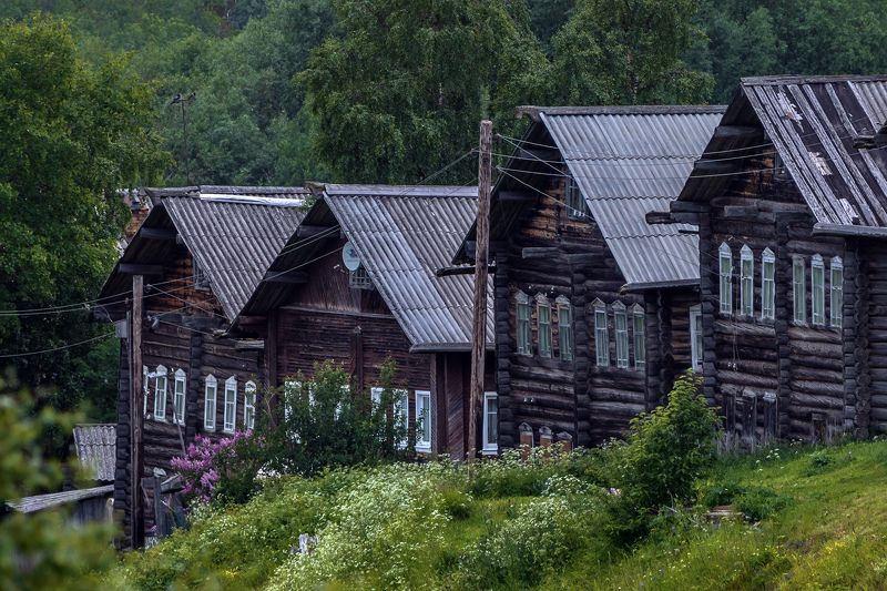 кимжа, архангельская область Сиреньphoto preview