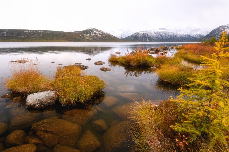 колыма, озеро джека лондона, золотая осень, магаданская область Красота северной осениphoto preview