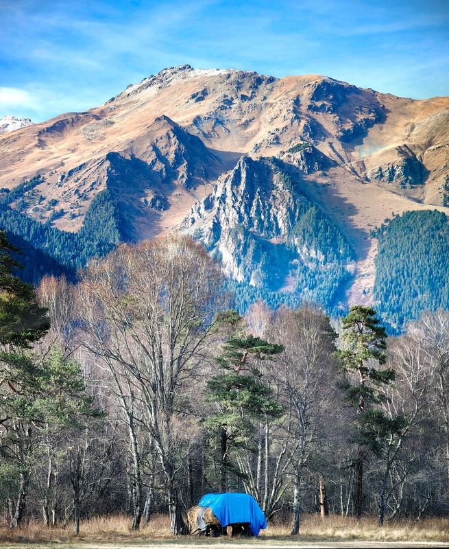 В ожидании первого снегаphoto preview