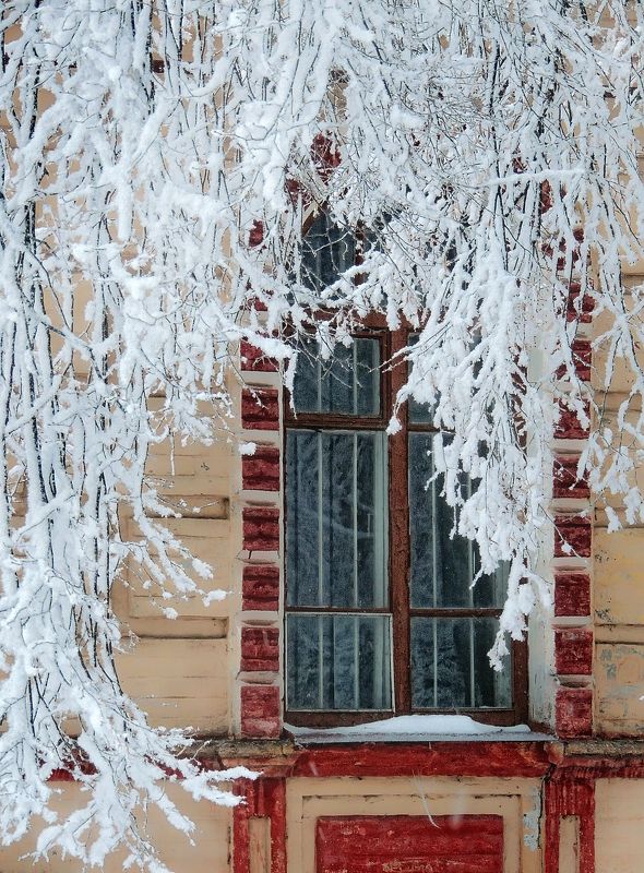 Зимаphoto preview