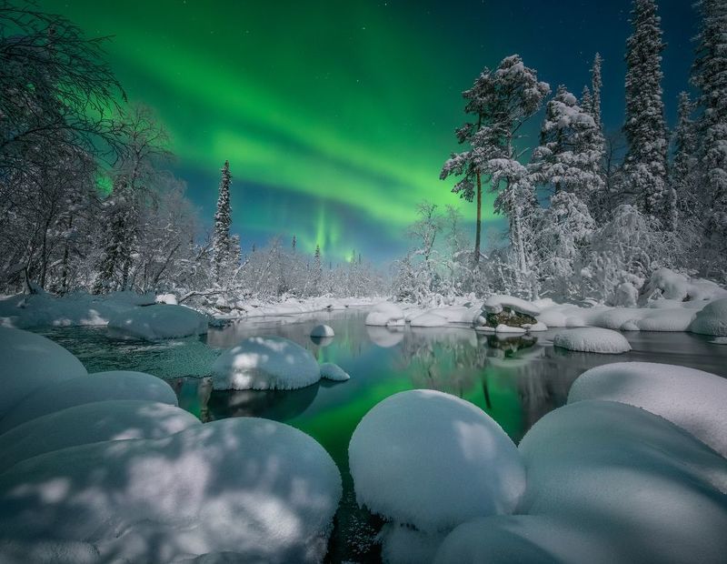 Зимний лес.photo preview