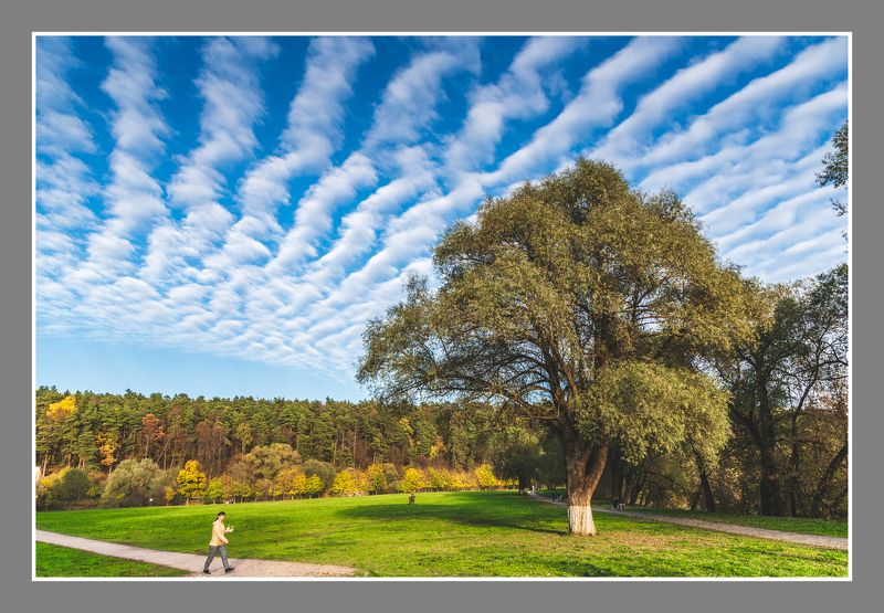 музей небо облака Барашковое небо photo preview