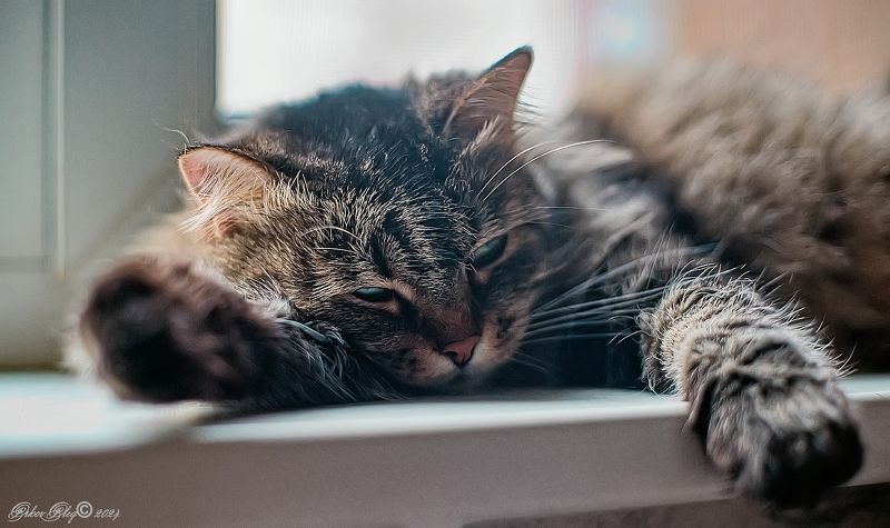 Нега....photo preview