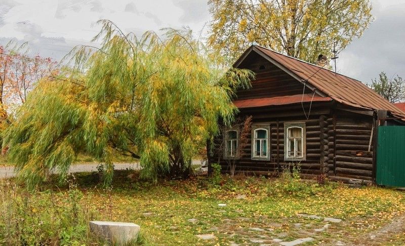 Плакучая ива...photo preview