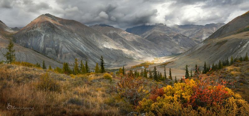 Осенний Алтайphoto preview