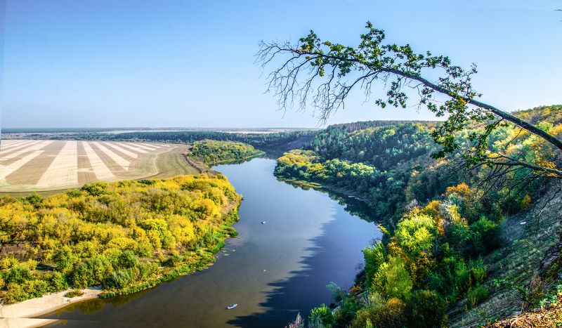 Кривоборьеphoto preview